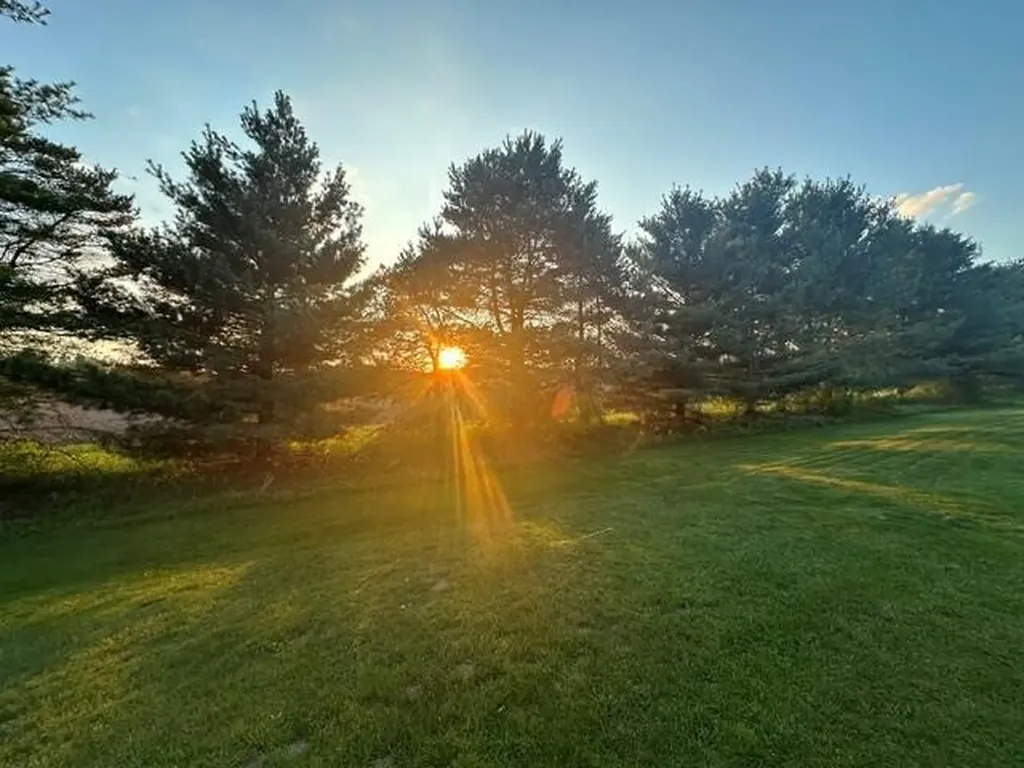13633 Iris Lane Solon Township MI 49319