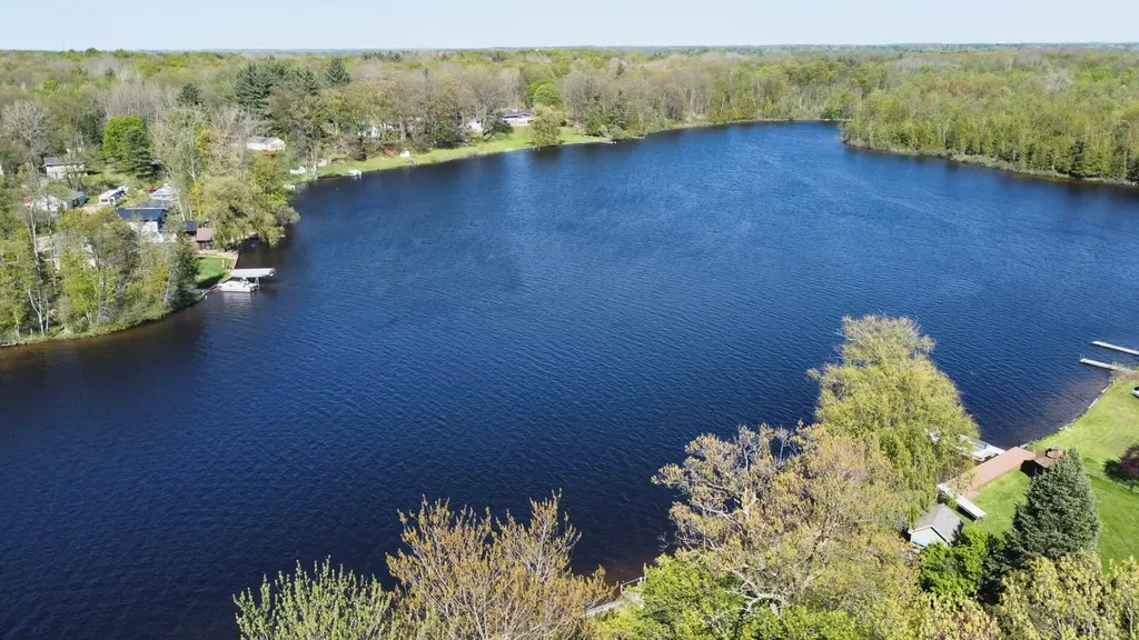 310 Morse Drive Belvidere Township MI 48886