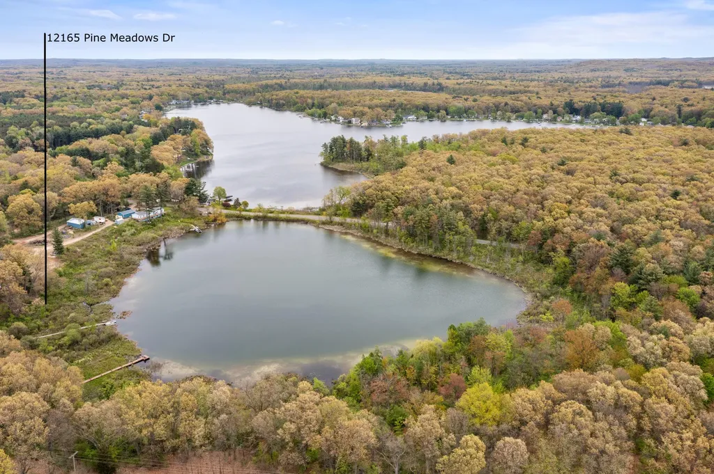 12165 Pine Meadows Drive Yankee Springs Township MI 49348