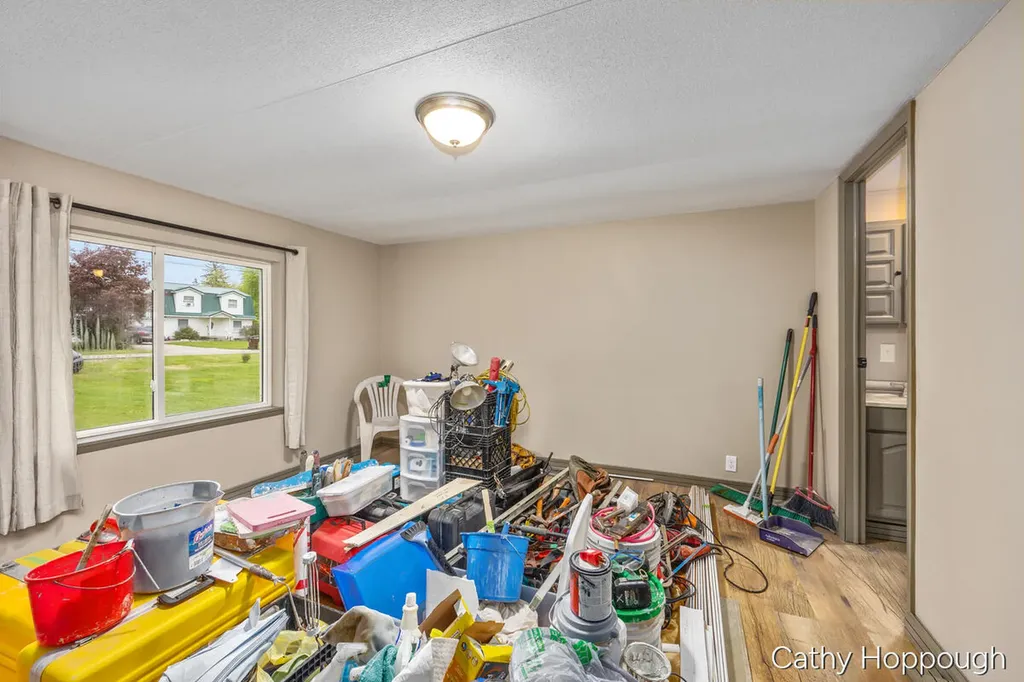 153 Baldwin Street Lyons Township MI 48851