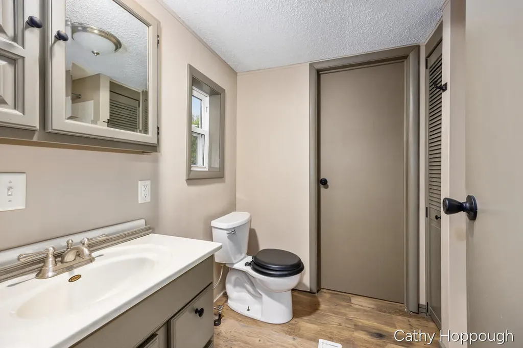 153 Baldwin Street Lyons Township MI 48851