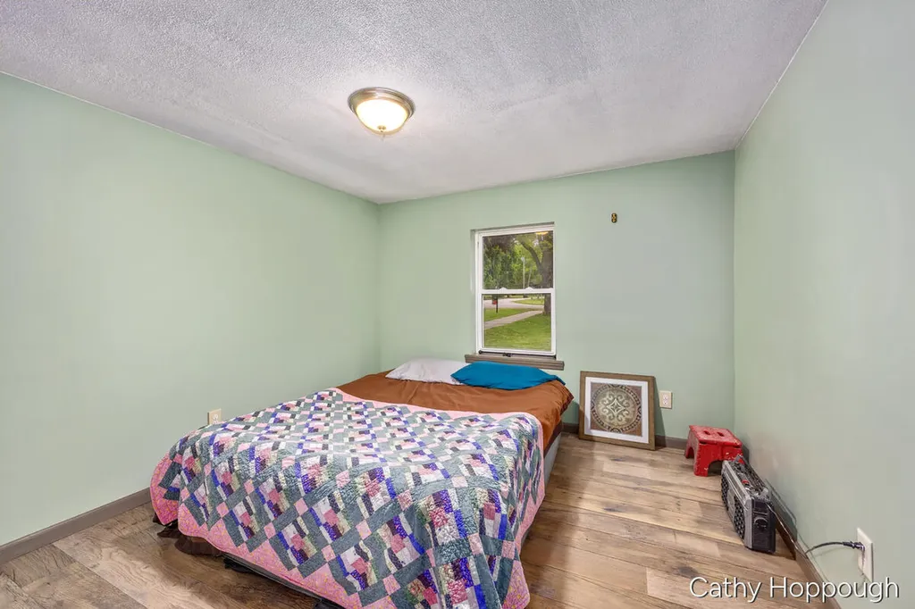 153 Baldwin Street Lyons Township MI 48851