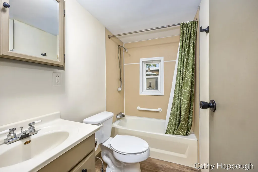 153 Baldwin Street Lyons Township MI 48851