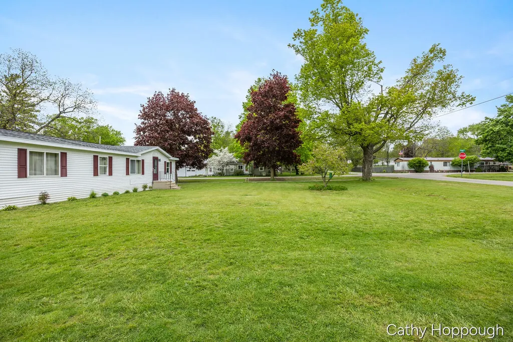 153 Baldwin Street Lyons Township MI 48851