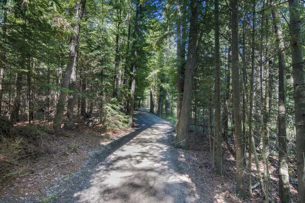 7545 Oyster Bay Drive Hayes Township MI 49720
