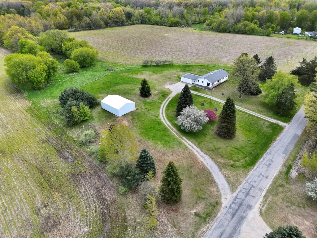 16753 S Fenmore Road Chapin Township MI 48807