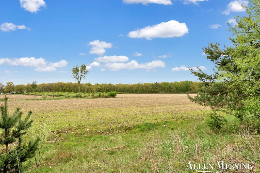 16753 S Fenmore Road Chapin Township MI 48807