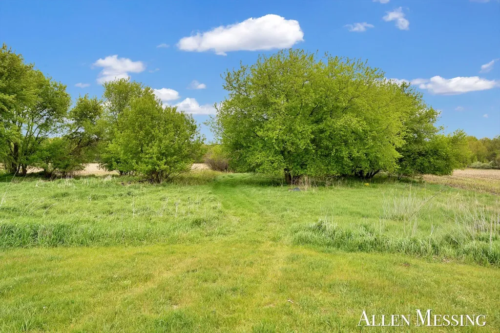 16753 S Fenmore Road Chapin Township MI 48807