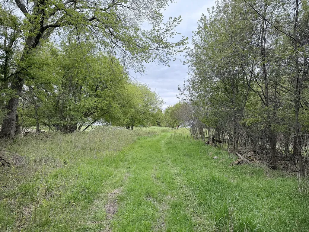 16753 S Fenmore Road Chapin Township MI 48807