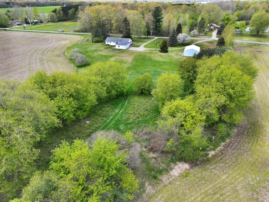 16753 S Fenmore Road Chapin Township MI 48807