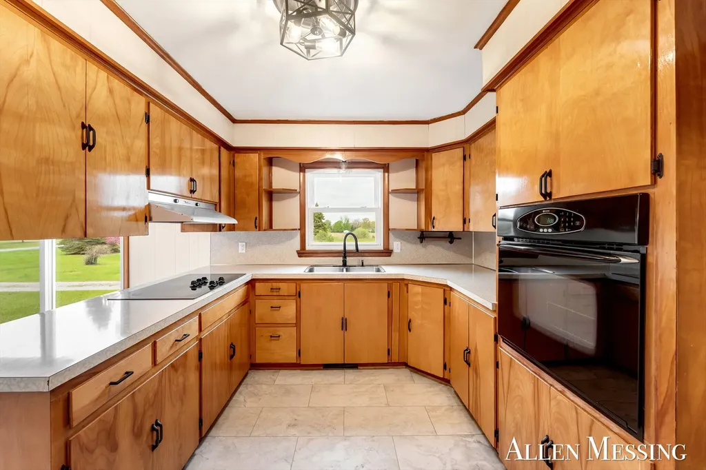 16753 S Fenmore Road Chapin Township MI 48807