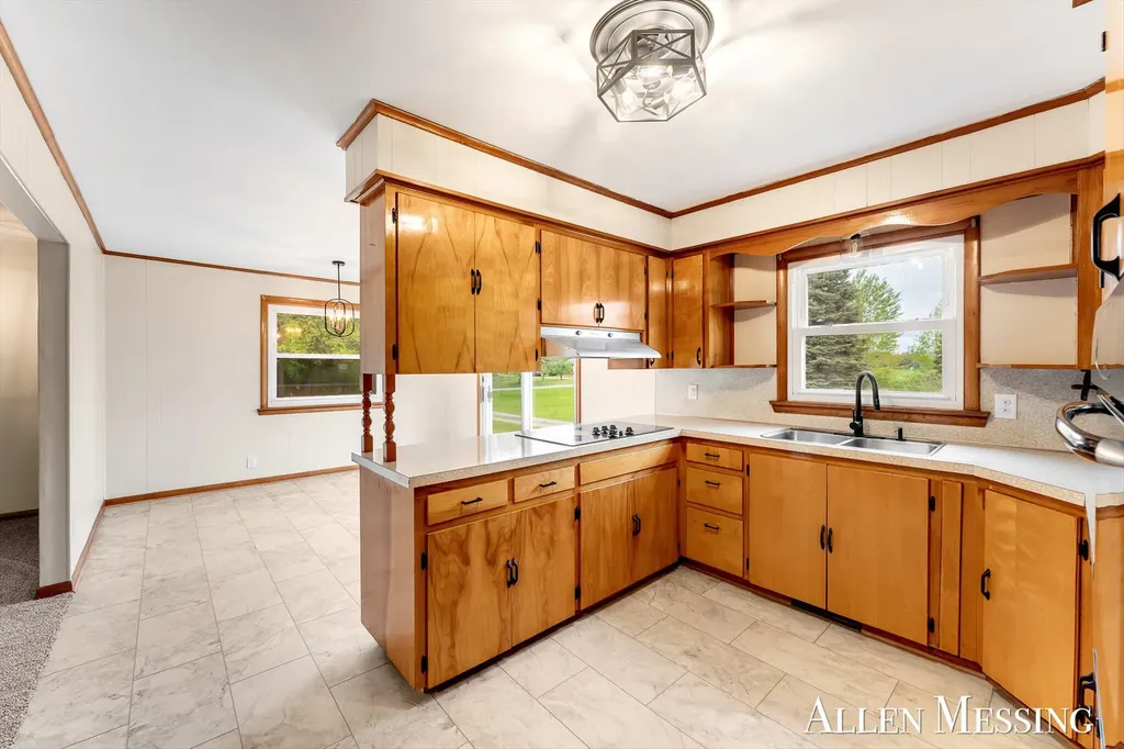 16753 S Fenmore Road Chapin Township MI 48807