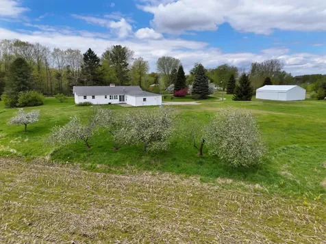 16753 S Fenmore Road Chapin Township MI 48807