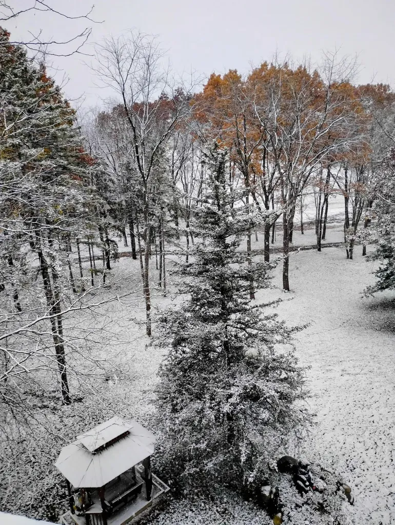 781 Hopkins Road Lyons Township MI 48851