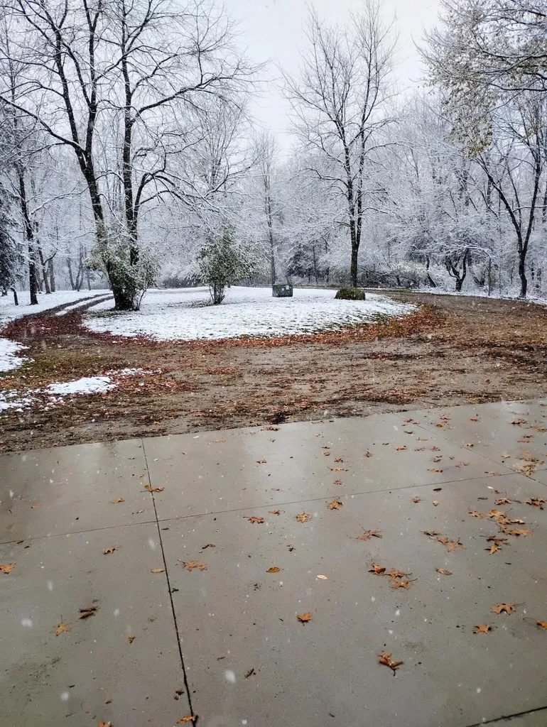 781 Hopkins Road Lyons Township MI 48851
