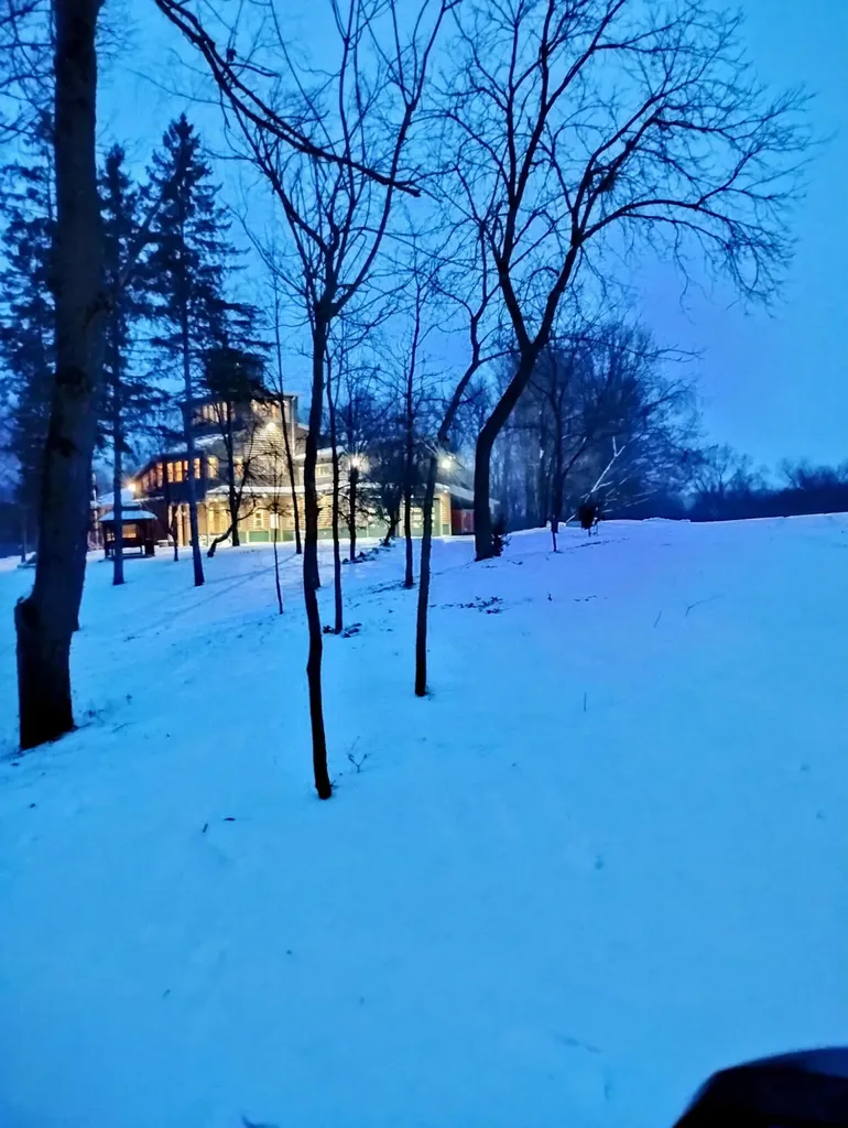 781 Hopkins Road Lyons Township MI 48851