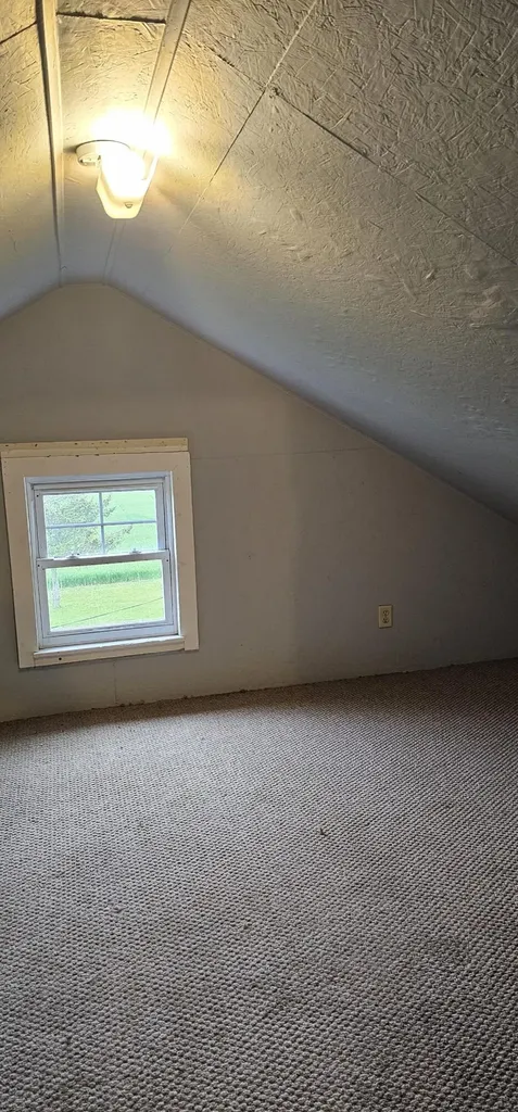 3815 Van Vleck Road Ronald Township MI 48834