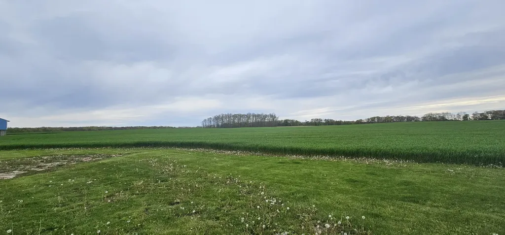 3815 Van Vleck Road Ronald Township MI 48834