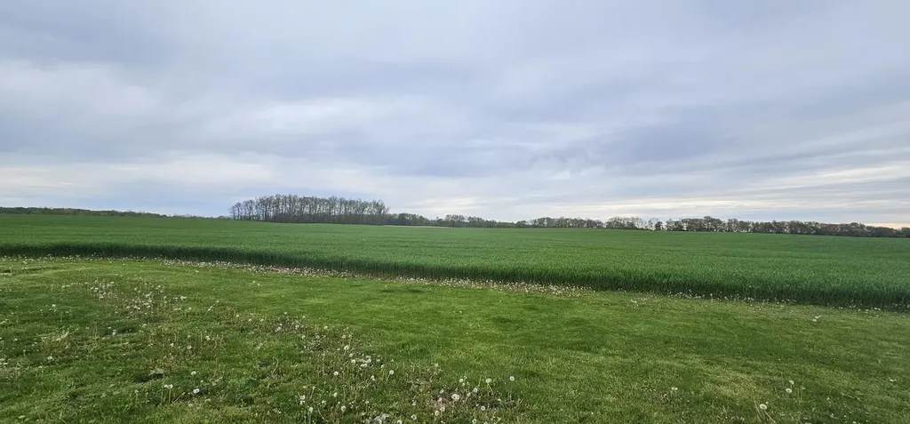 3815 Van Vleck Road Ronald Township MI 48834