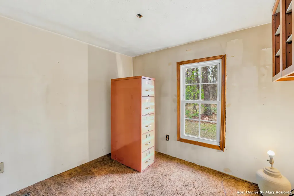 2437 E 100th Street Grant Township MI 49327