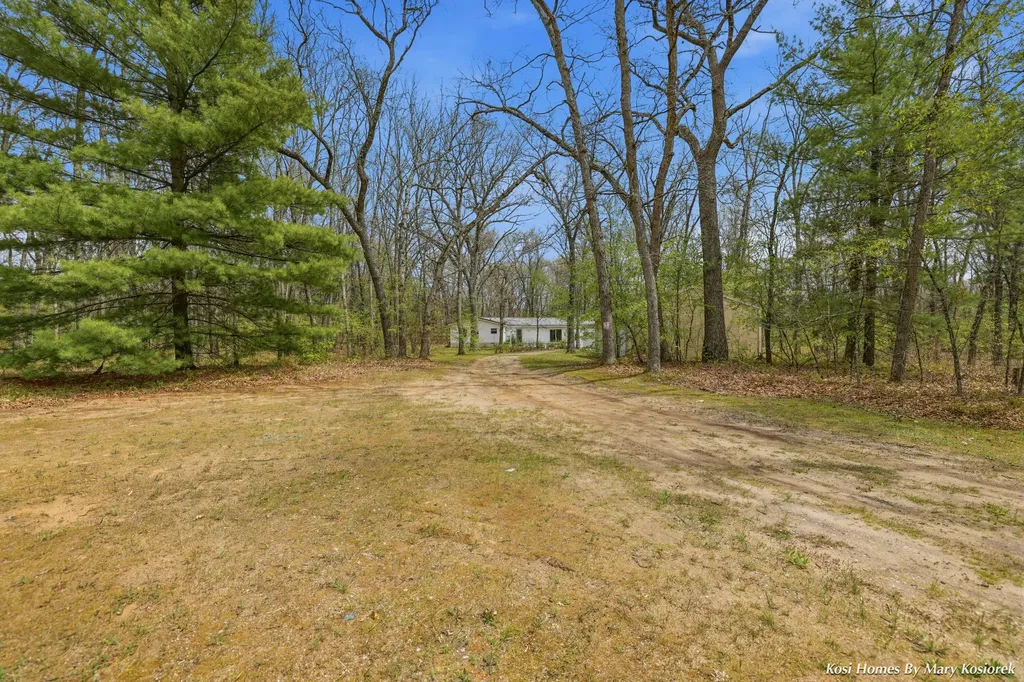 2437 E 100th Street Grant Township MI 49327