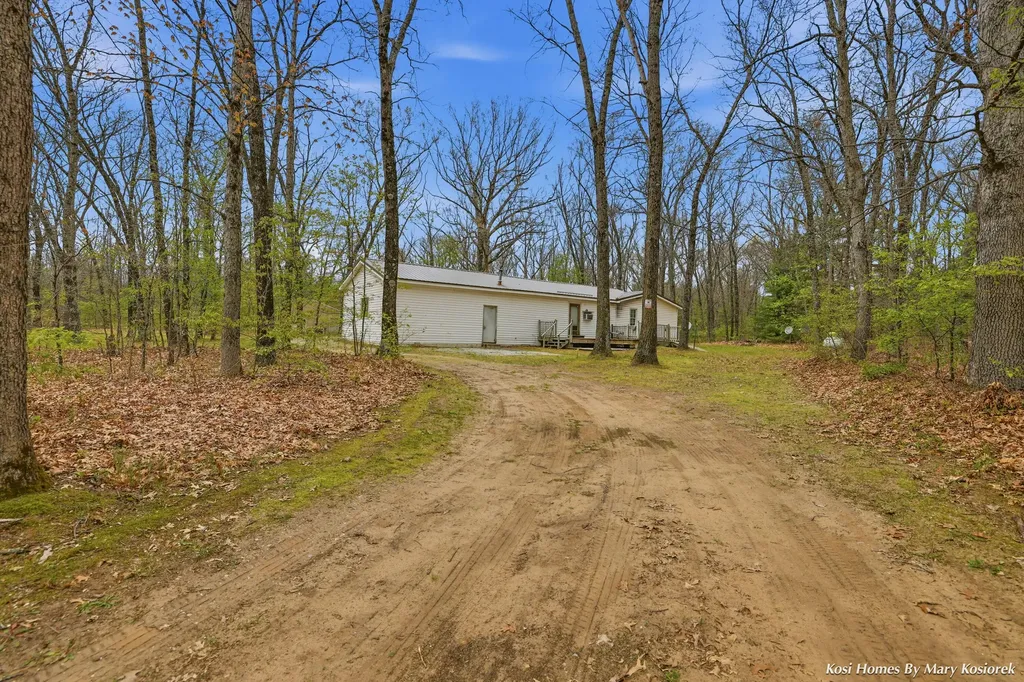 2437 E 100th Street Grant Township MI 49327