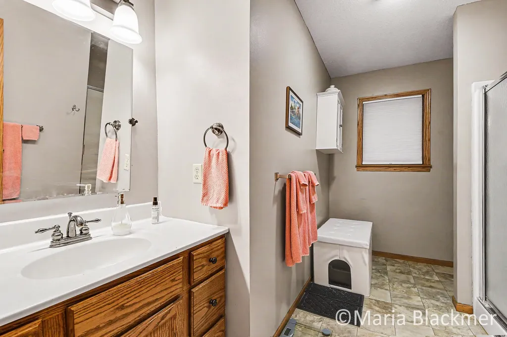 947 Southview Drive Ionia City MI 48846