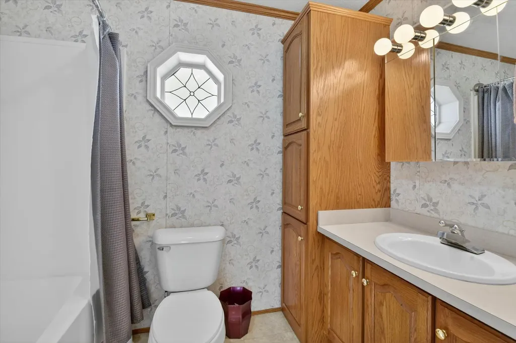 563 Willow Drive Ovid Township MI 49036