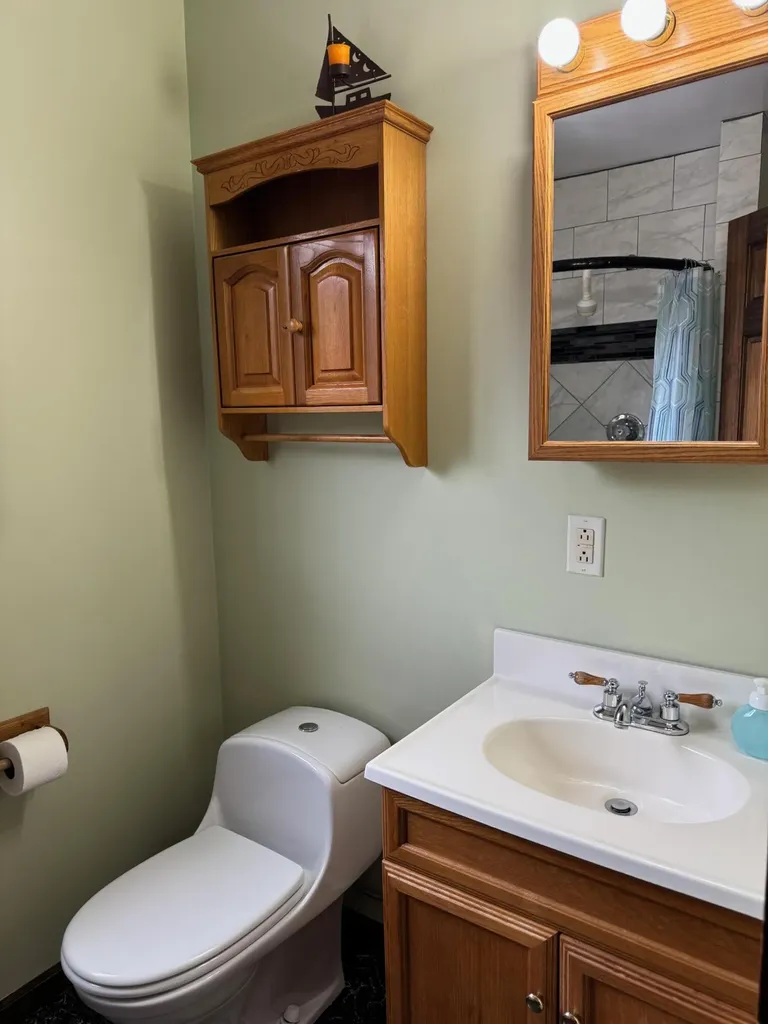 447 N Northern Light Drive Golden Township MI 49436