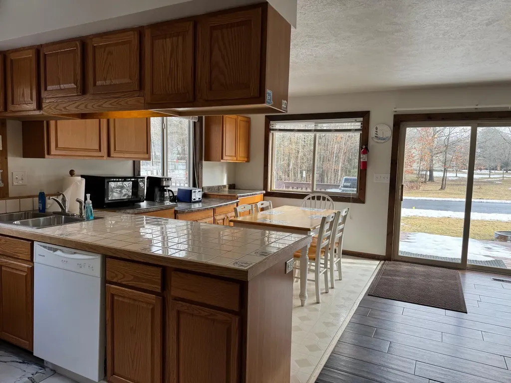 447 N Northern Light Drive Golden Township MI 49436