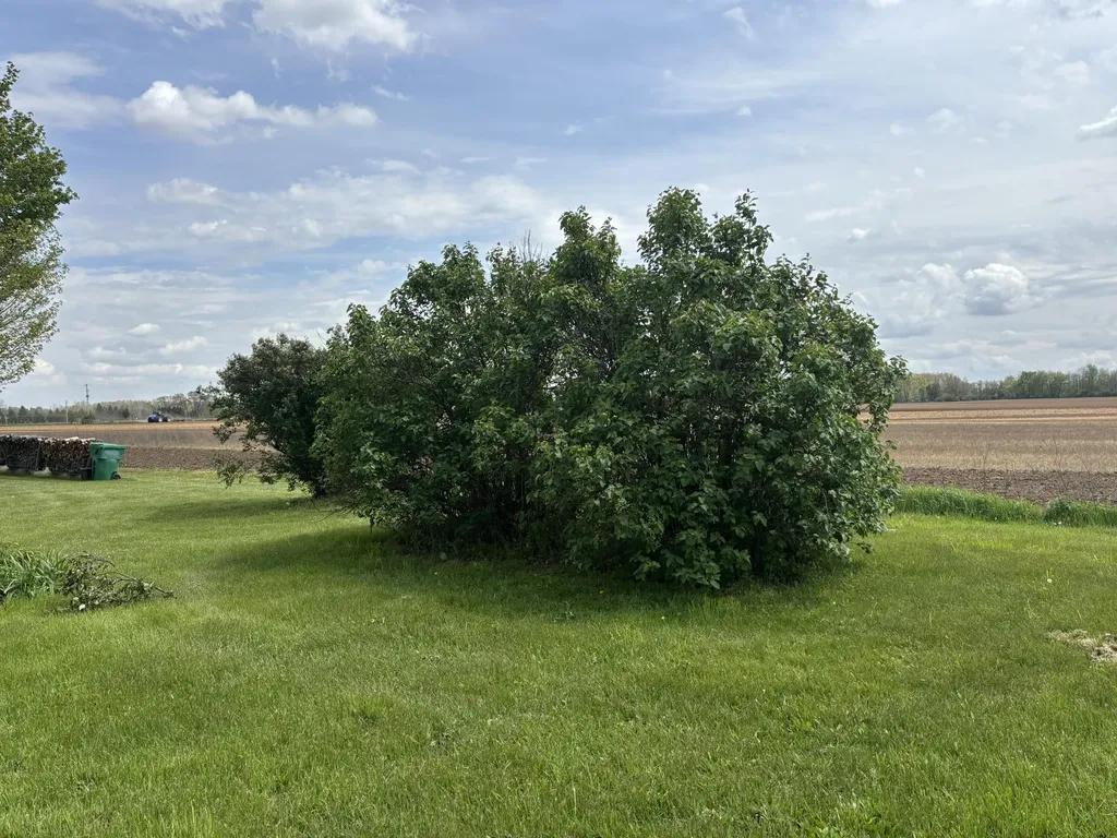 23799 M 86 Nottawa Township MI 49032