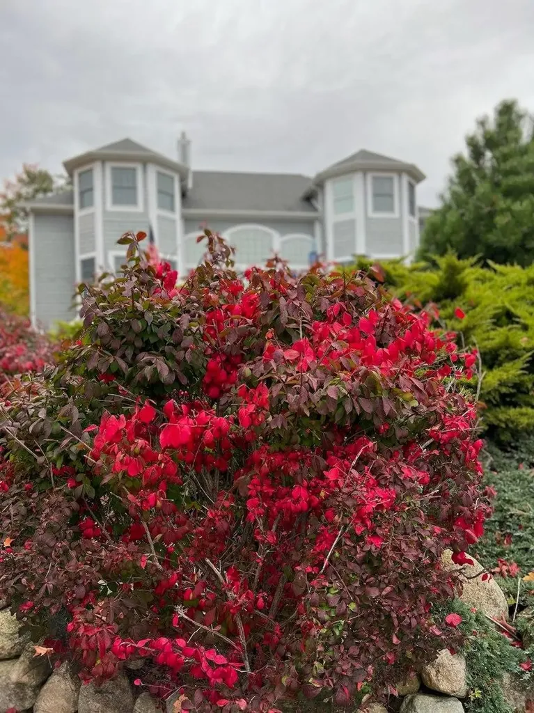 3975 Harbor Breeze Drive Norton Shores City MI 49441