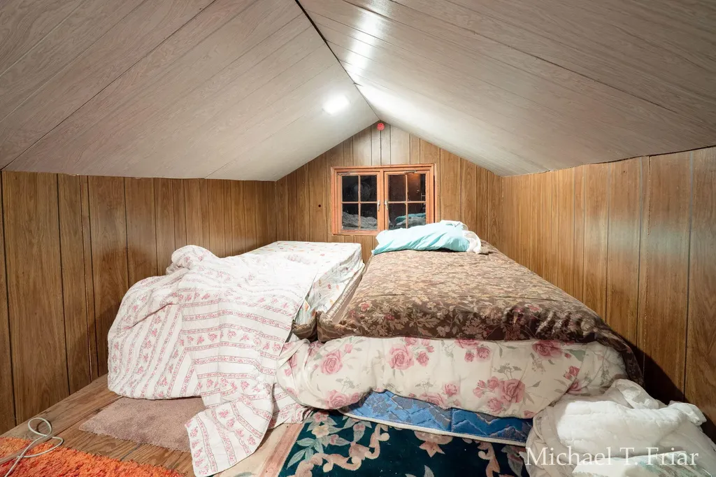 3668 Sunny Drive Orient Township MI 49679