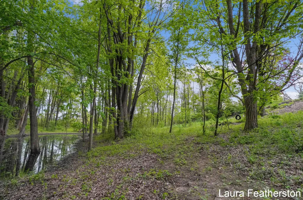 10451 Pine Island Drive NE Algoma Township MI 49345