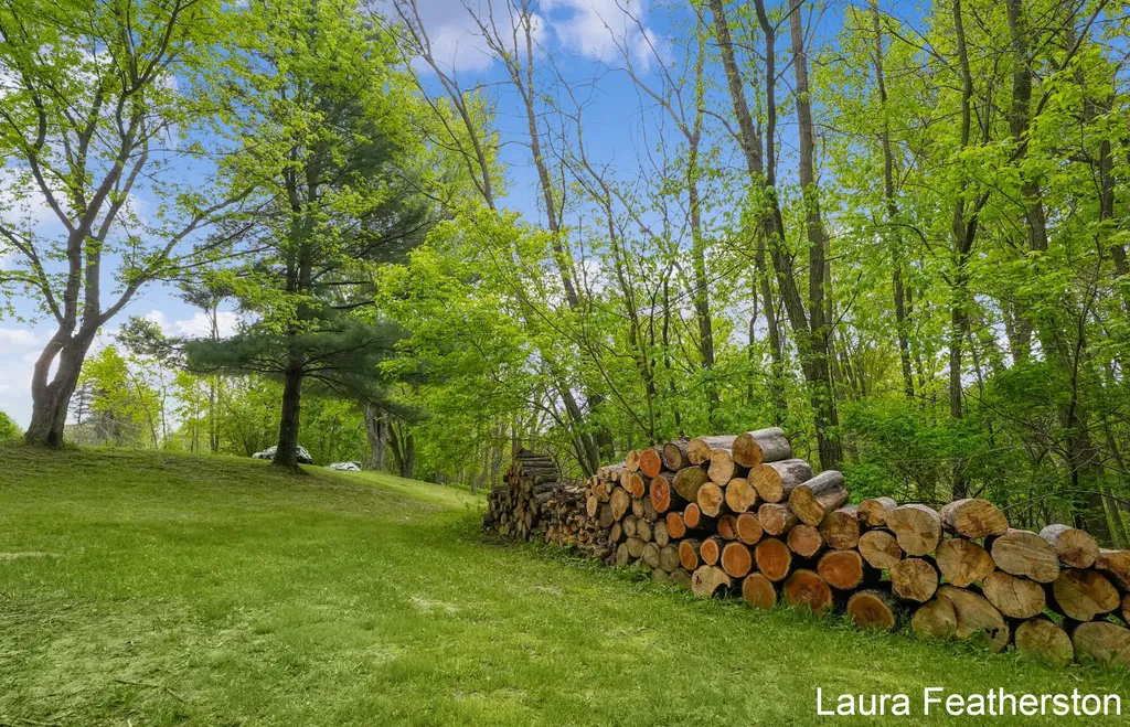 10451 Pine Island Drive NE Algoma Township MI 49345