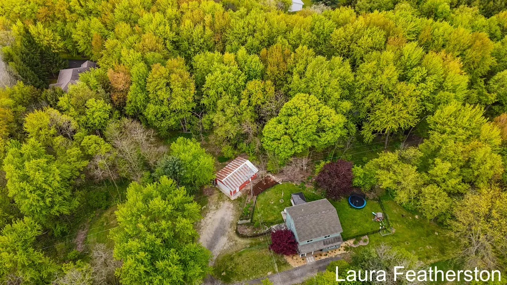10451 Pine Island Drive NE Algoma Township MI 49345
