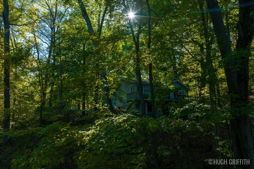 6811 Burger Drive SE Cascade Charter Township MI 49546