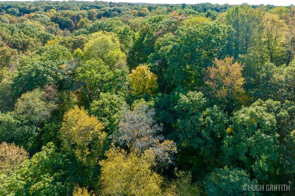 6811 Burger Drive SE Cascade Charter Township MI 49546