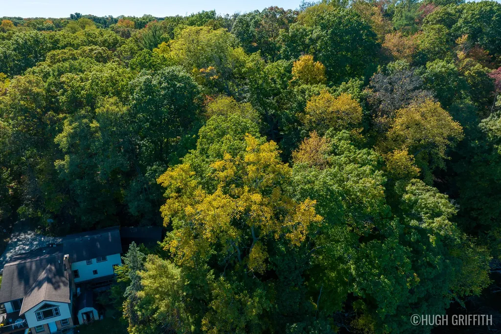 6811 Burger Drive SE Cascade Charter Township MI 49546