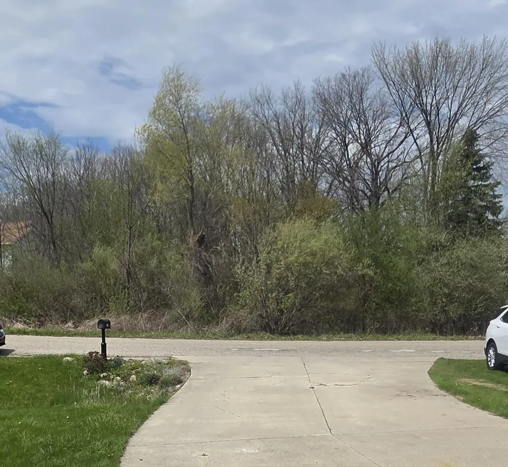 2774 Bilbrael Drive Isabella Township MI 48858