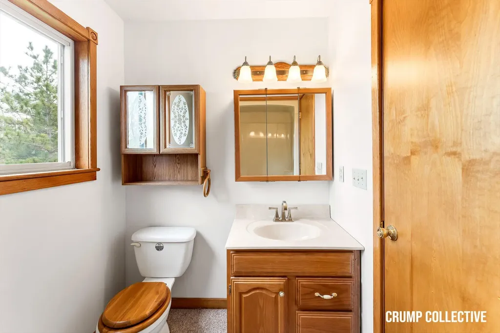 9129 Lakeside Drive Fulton Township MI 48871