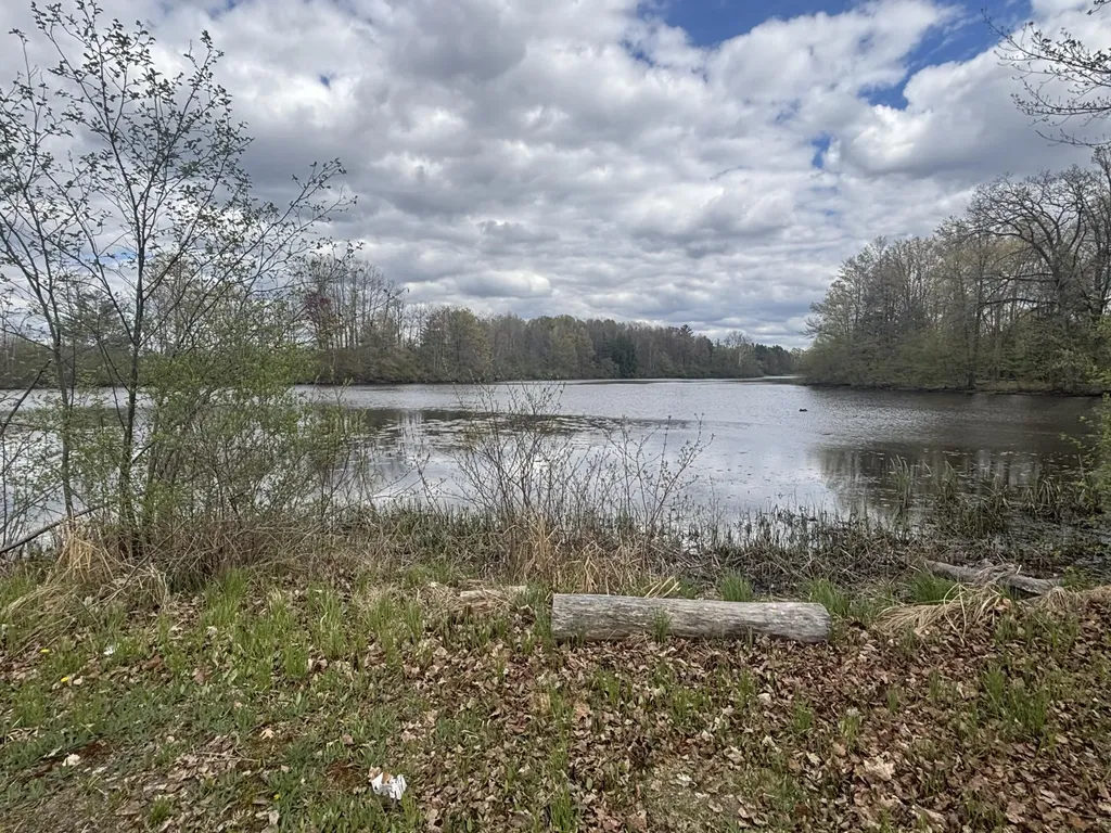 191 Haddix Boulevard Unknown City MI 49305