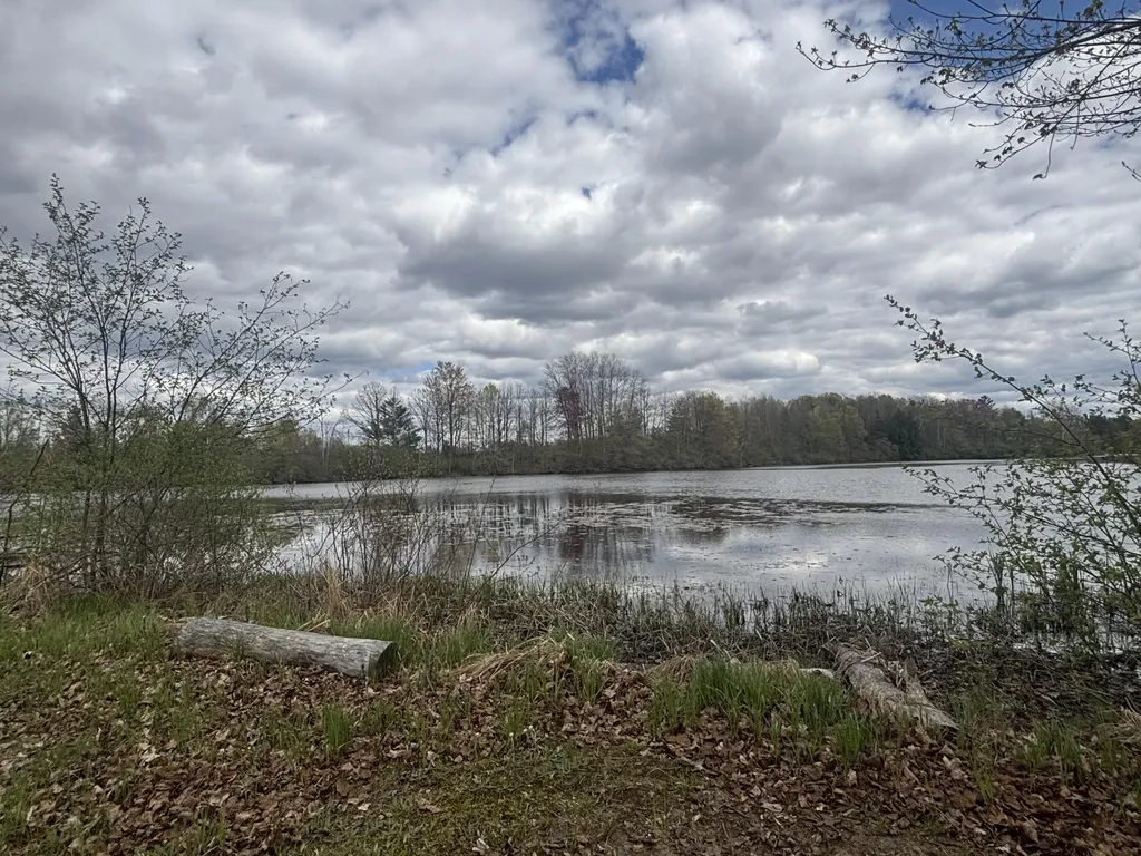 191 Haddix Boulevard Unknown City MI 49305