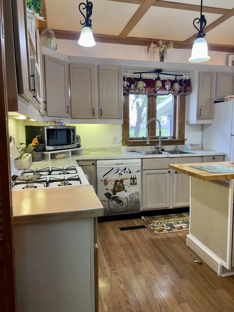 1033 Washington Boulevard Lake Odessa Village MI 48849