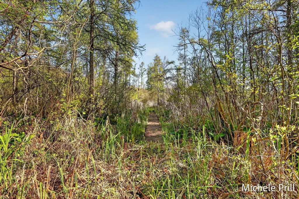 937 Bruce Drive Yankee Springs Township MI 49333