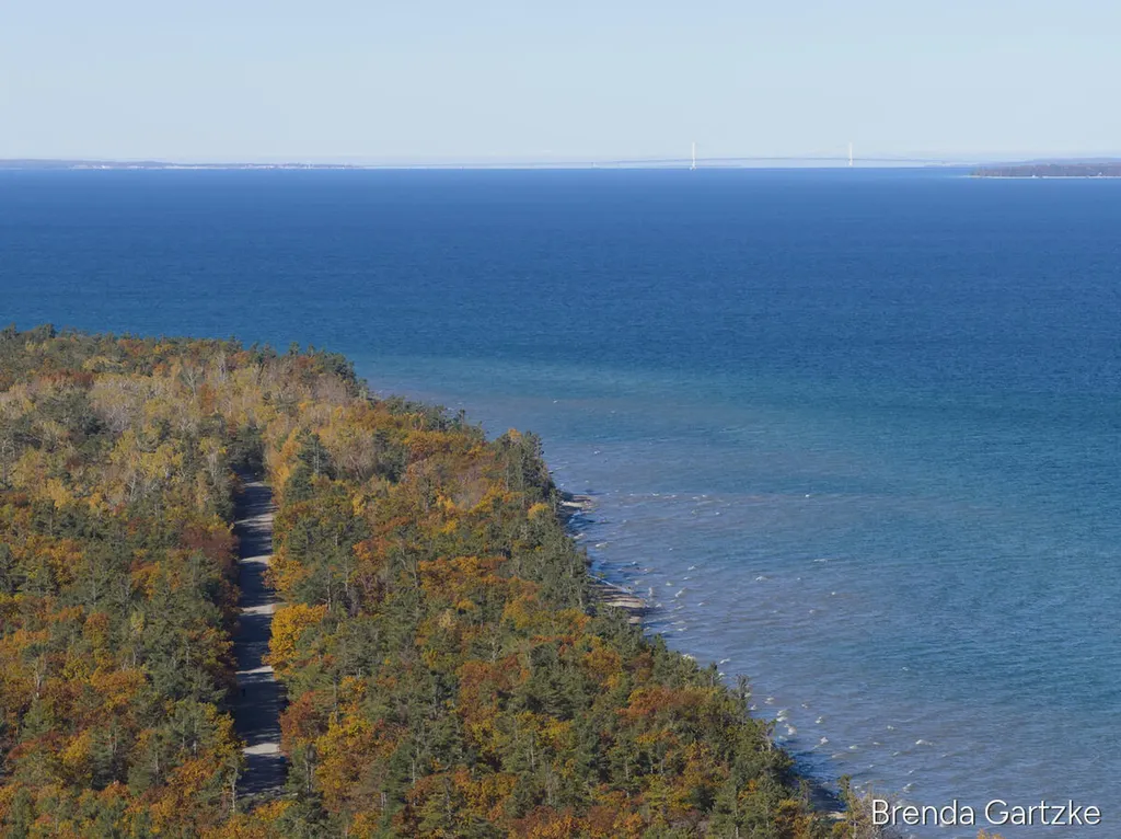 8991 Cordwood Trail Unknown City MI 49721