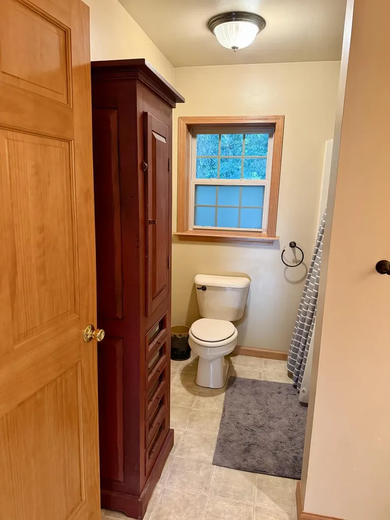 6816 Thayer Lake Drive Helena Township MI 49612