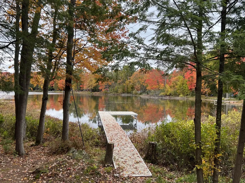 6816 Thayer Lake Drive Helena Township MI 49612
