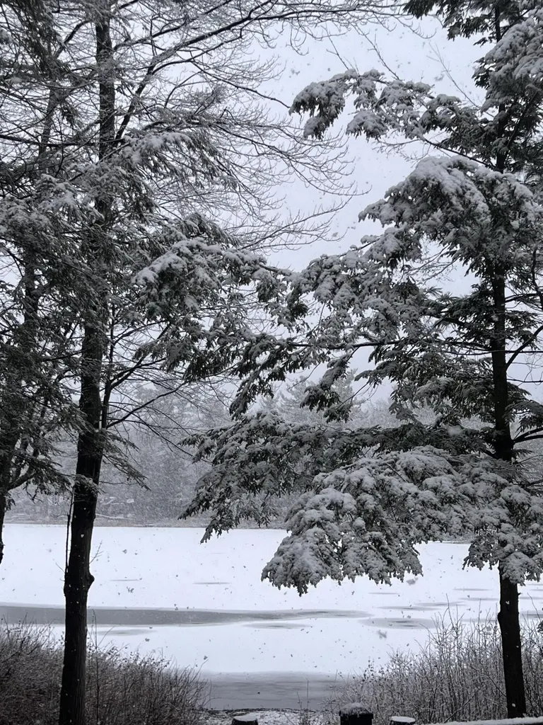 6816 Thayer Lake Drive Helena Township MI 49612
