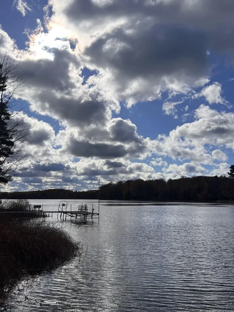 6816 Thayer Lake Drive Helena Township MI 49612